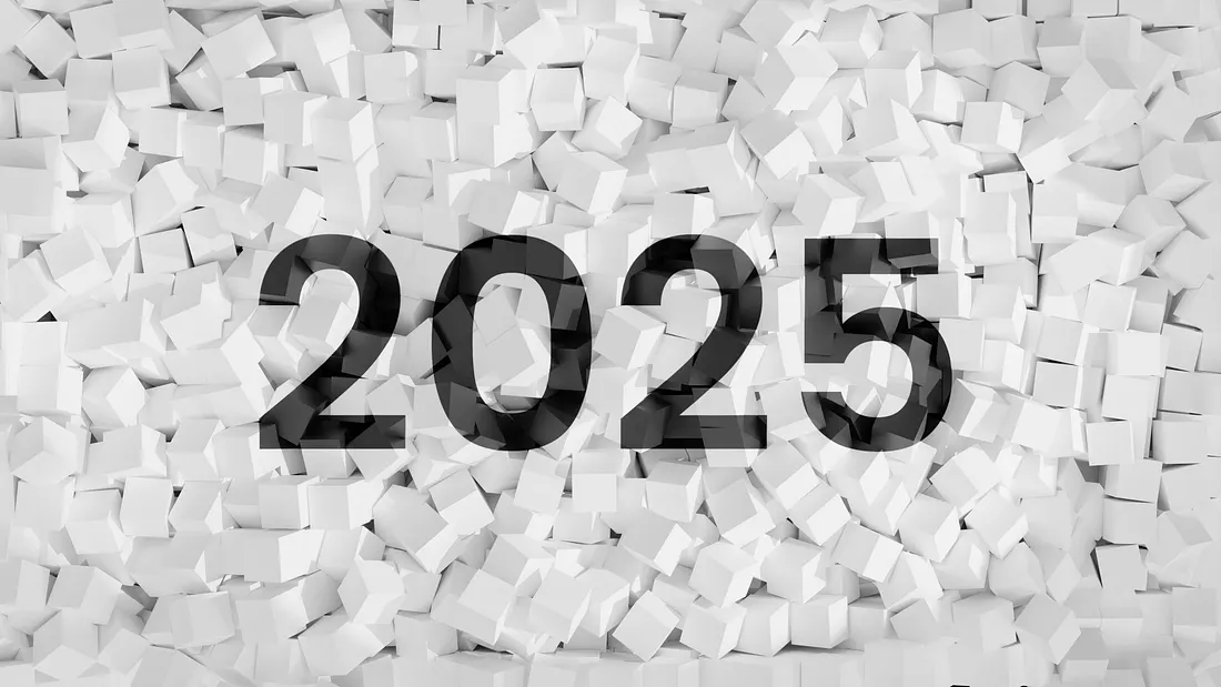 Farewell to 2025: A Year of Memories, Conflicts, and Unfulfilled Aspirations