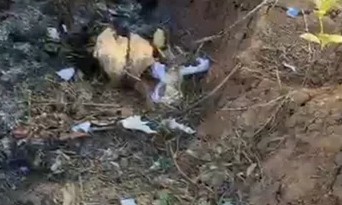 6 Year Old Student Burnt While Forced to Burn Garbage