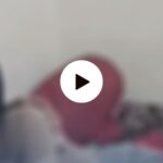 Teh Pucuk Viral Video