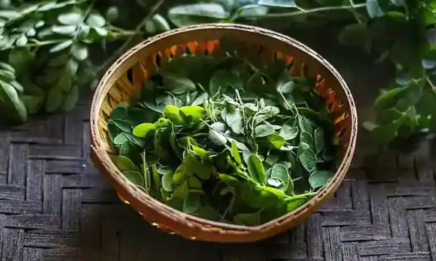 101 Green Leaves of Rongali Bihu: Assam’s Timeless Tradition of Health and Heritage