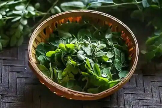 101 Green Leaves of Rongali Bihu: Assam’s Timeless Tradition of Health and Heritage