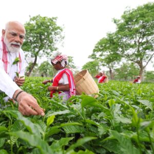 Narendra Modi Connects with Tea Garden Workers in Dibrugarh