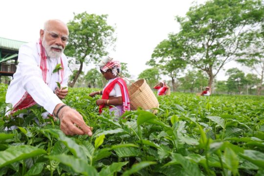 Narendra Modi Connects with Tea Garden Workers in Dibrugarh