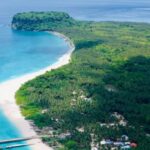 7.11 Lakh Trees Felled Nicobar Project Defends Eco Balance