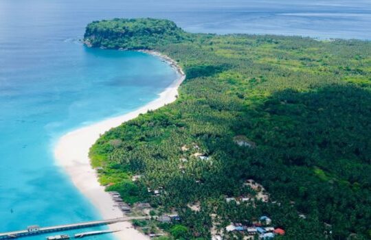 7.11 Lakh Trees Felled Nicobar Project Defends Eco Balance