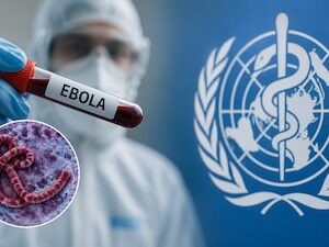 Deadly Congo Ebola Crisis: 900 Cases Demand Urgent Action