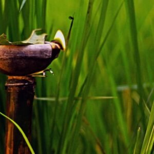 Kati Bihu 2026: 3 Powerful Reasons for Hope Amid Scarcity