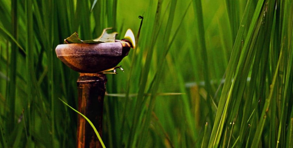 Kati Bihu 2026: 3 Powerful Reasons for Hope Amid Scarcity