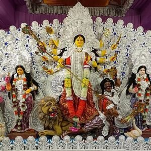 Ultimate Maha Saptami 2026: 9 Sacred Plants Bless All