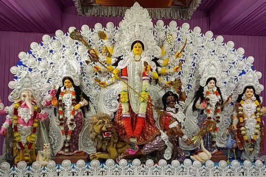 Ultimate Maha Saptami 2026: 9 Sacred Plants Bless All